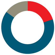Graphique du profil d’investisseur croissance maximale