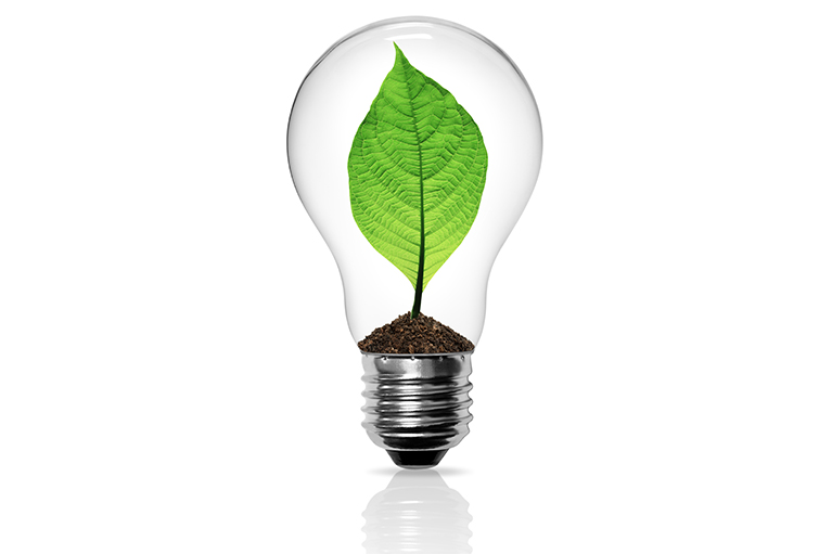 Un feuille qui pousse a l'intérieur d'une lampe