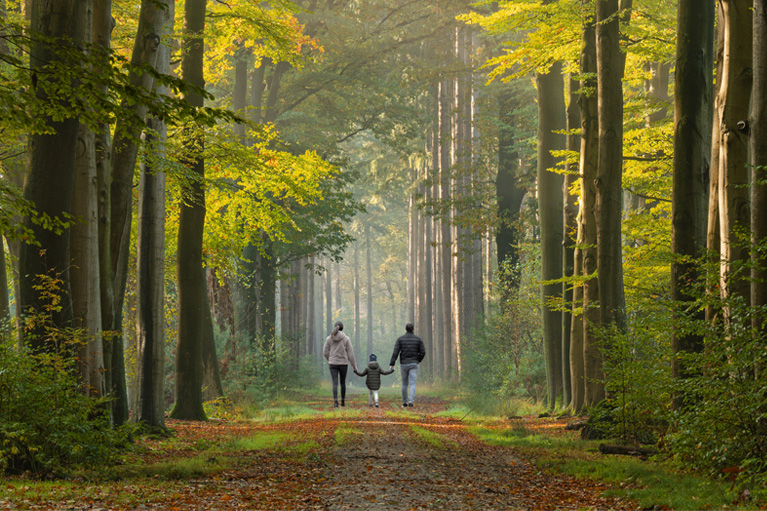 Une femme et homme marchent en forêt avec un enfant