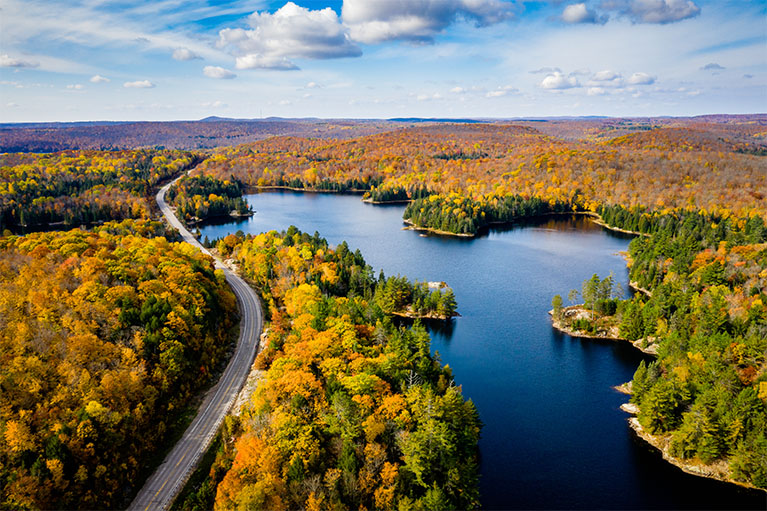 Image d’une route qui longe un lac et les deux sont entourés d’une forêt aux couleurs de l’automne.